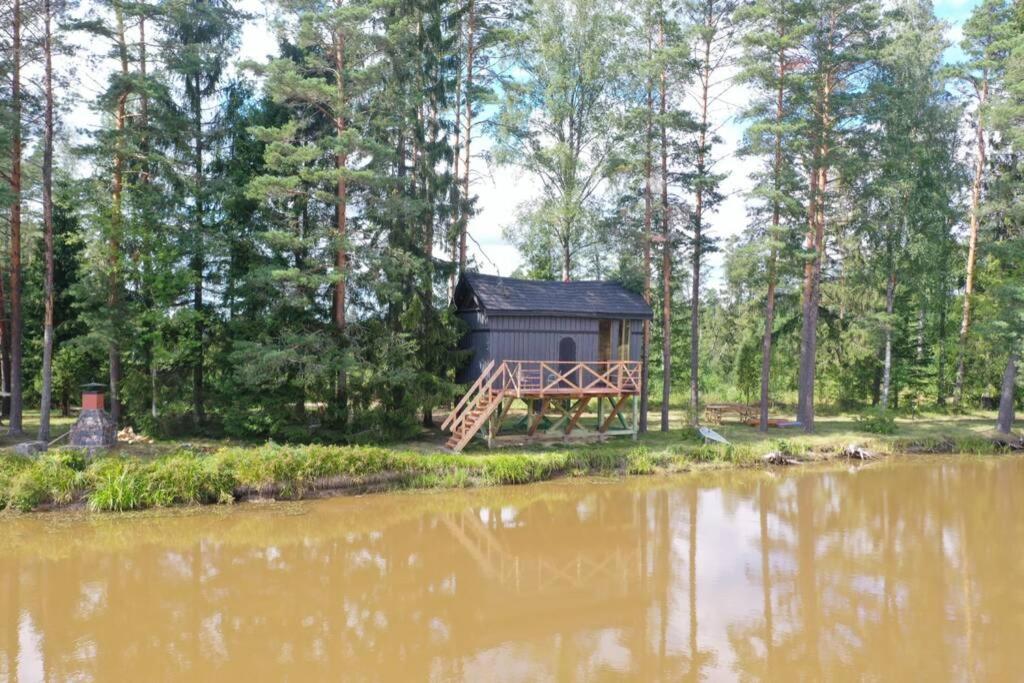 Dragon House In The Tree! Jacuzzi, Sauna ,Cinema,Heated Lici  Exterior photo